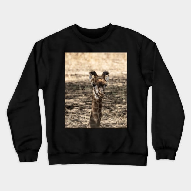 Baby Giraffe Crewneck Sweatshirt by Memories4you